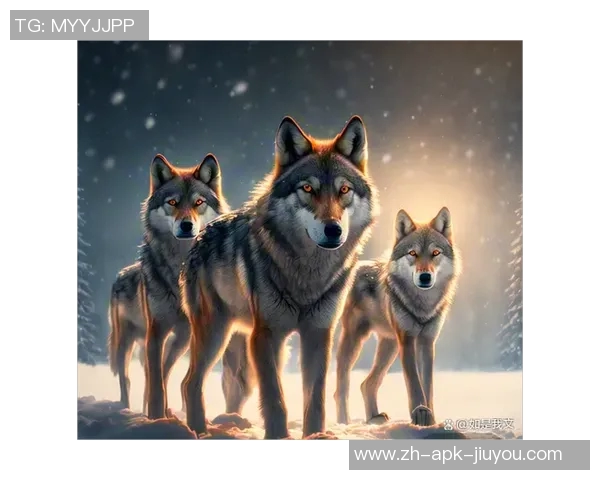 人类与熊的对抗与共存探索之旅：自然界中的生存智慧与挑战